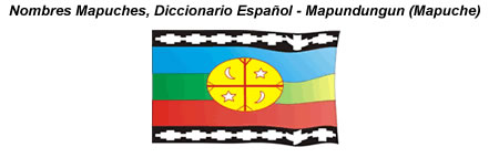 Diccionario y nombres mapuches